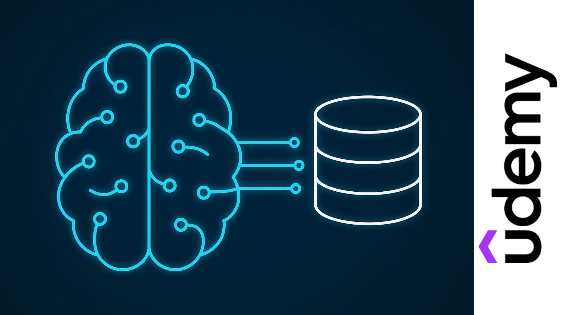 Ilustración de cerebro digital conectado a base de datos, representando el aprendizaje de SQL