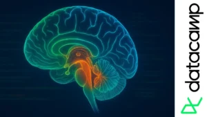Ilustración digital de un cerebro humano en vista lateral con líneas de colores que representan análisis biomédico en Python