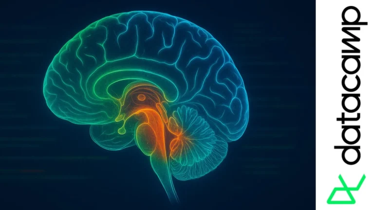 Ilustración digital de un cerebro humano en vista lateral con líneas de colores que representan análisis biomédico en Python
