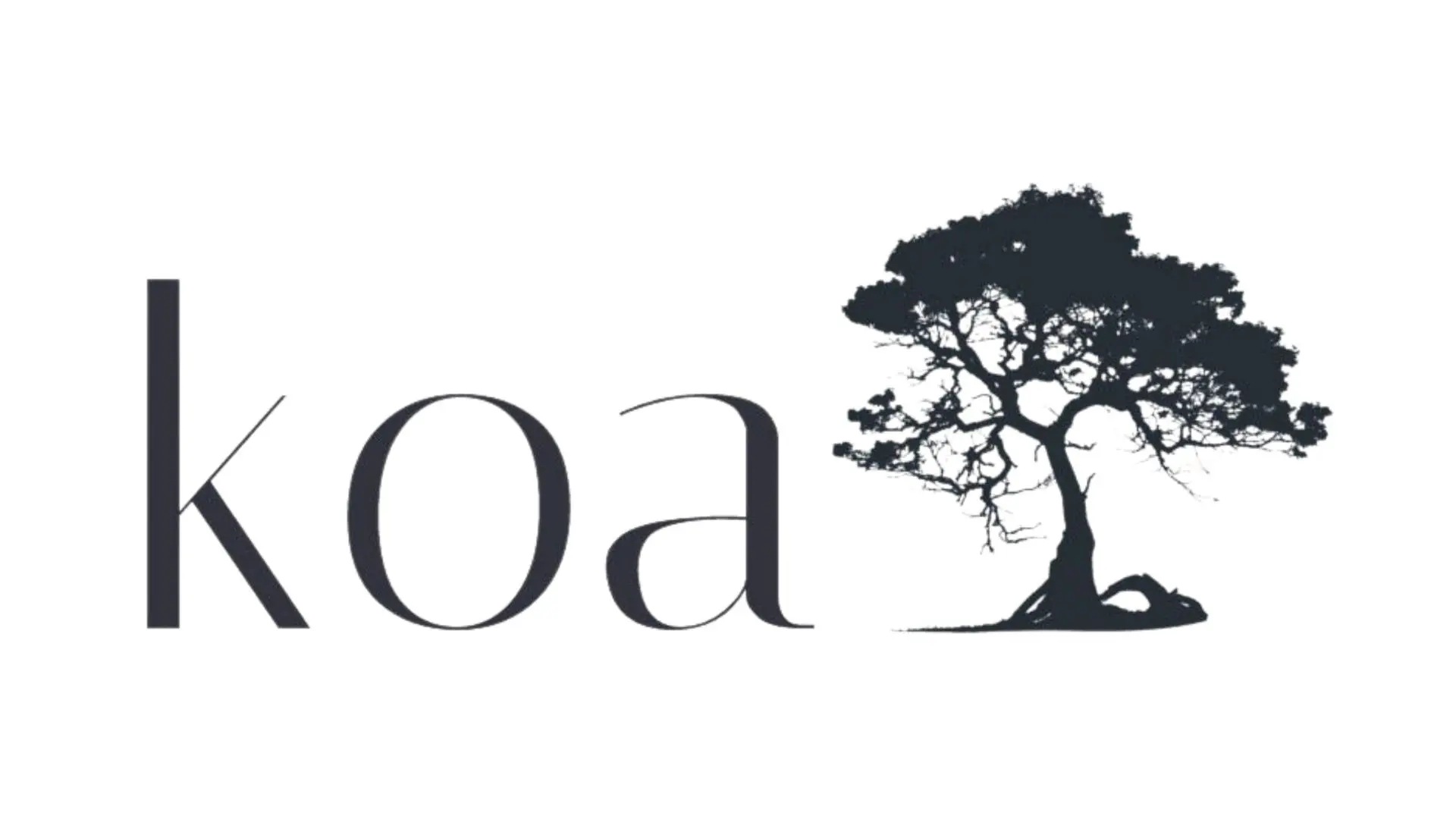 Koa JS obtiene un curso gratis que ya atrae a desarrolladores que buscan algo más ligero que Express