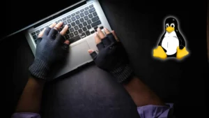 Aprende Hacking Ético desde cero : Domina la explotación de sistemas Linux hoy mismo con este curso gratis