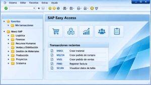Curso gratis de SAP: aprende a navegar en SAPGUI desde cero - CursotecaPlus